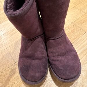 Dark Purple Uggs Size 6US -Classic Short boot. UGG. Womens UGG